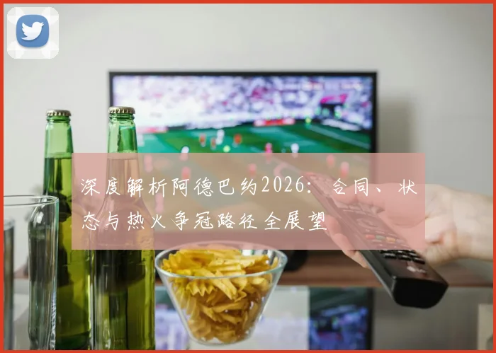 深度解析阿德巴约2026:合同、状态与热火争冠路径全展望